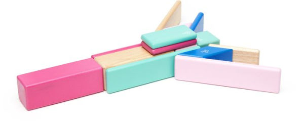 14 Piece Tegu Magnetic Wooden Block Set, Blossom