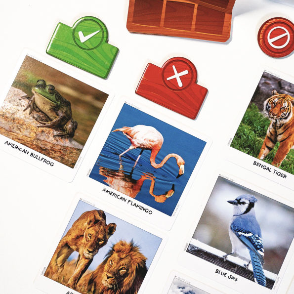 National Geographic Secret Clue Animals