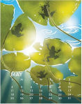 Alternative view 4 of 2025 Linnea Design Desktop Calendar