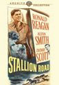 Stallion Road