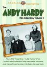 Title: The Andy Hardy Collection, Vol. 1