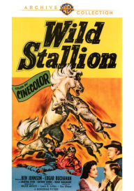 Title: Wild Stallion