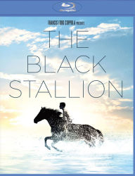 Title: The Black Stallion, Author: 