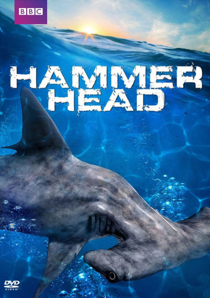 Hammerhead