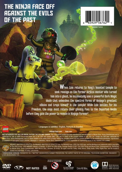 Rare PS4 LEGO Ninjago Movie The Game Dante's Inferno Game Poster New