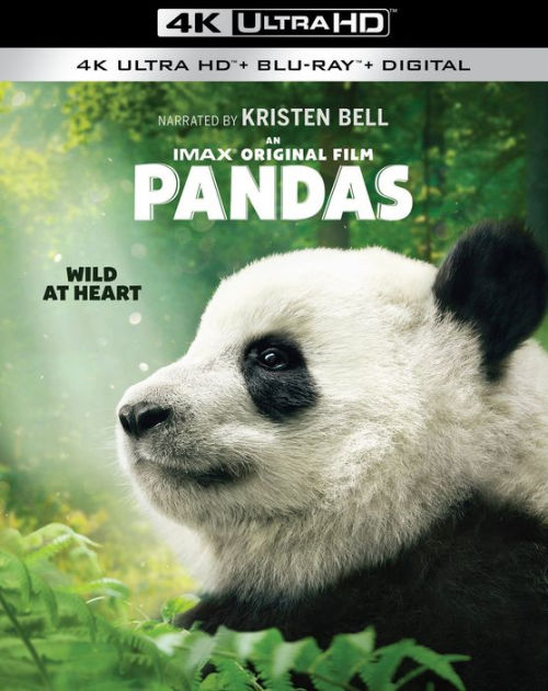 Pandas [4K Ultra HD Blu-ray/Blu-ray] [Only @ Best Buy] by Kristen Bell ...