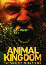 Animal Kingdom: The Complete Third Season