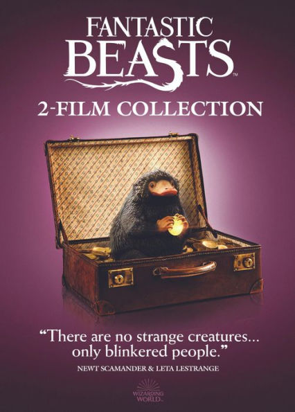 Fantastic Beasts 2-Film Collection - Iconic Moments Line Look