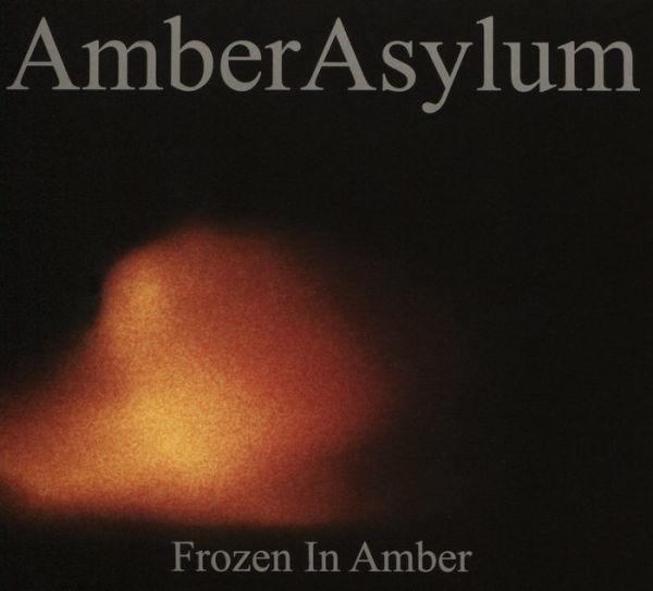 Frozen in Amber