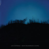 Title: New Wilderness Gospel, Artist: Lux Interna