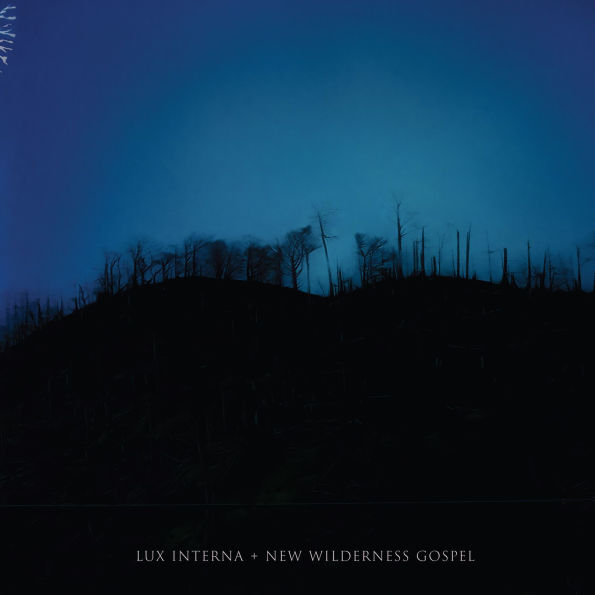 New Wilderness Gospel