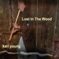 Title: Lost In the Wood, Artist: Karl Young