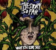 Title: What You Don't See, Artist: The Story So Far