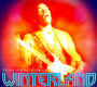 Winterland [Highlights]