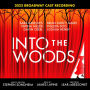 Alternative view 2 of Into the Woods - 2022 Broadway Cast Recording [B&N Exclusive Gold Vinyl LP]