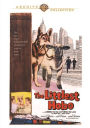 The Littlest Hobo