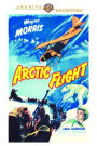 Arctic Flight