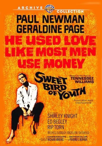 Sweet Bird of Youth