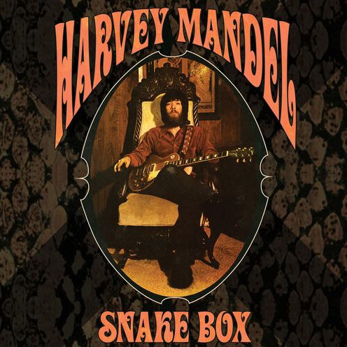 Snake Box