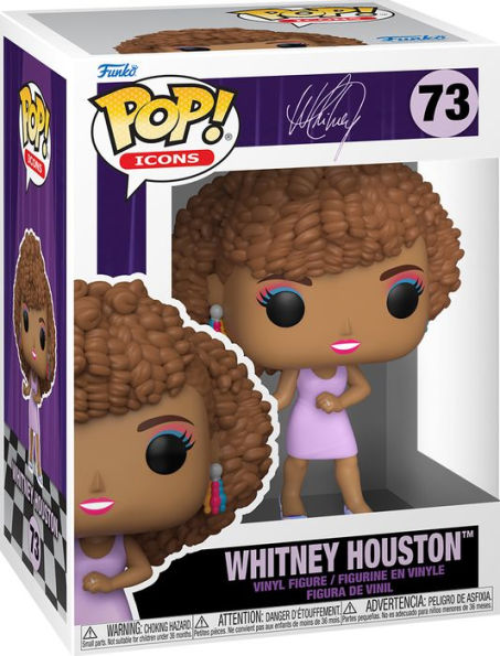 POP Icons: Whitney Houston (IWDWS)