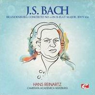 J.S. Bach: Brandenburg Concerto No. 6 in B flat major, BWV 1051