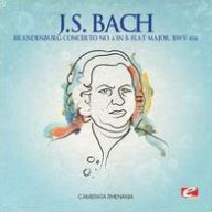 Title: J.S. Bach: Brandenburg Concerto No. 6 in B flat major, BWV 1051, Artist: Consortium Musicum