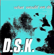 Title: What Would We Do, Artist: DSK