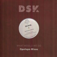 Title: What Would We Do [Sanfrandisko Mixes], Artist: DSK