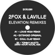 Title: Elevation, Artist: 2Fox