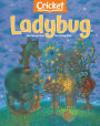 Ladybug - One Year Subscription