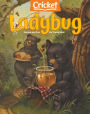 Ladybug - One Year Subscription