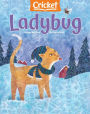 Ladybug - One Year Subscription