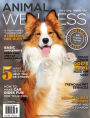 Animal Wellness - One Year Subscription
