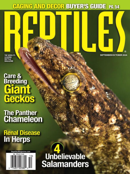 Reptiles - One Year Subscription