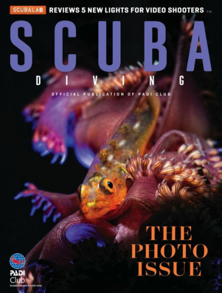 Scuba Diving - One Year Subscription