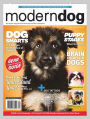 Modern Dog - Two Years Subscription