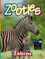 Zootles - One Year Subscription