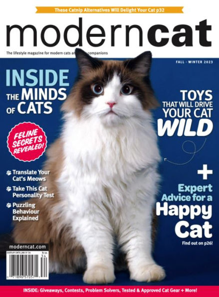 Modern Cat - Two Years Subscription