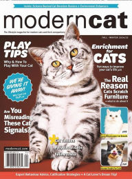 Title: Modern Cat - Two Years Subscription, Author: 