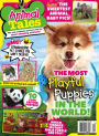Animal Tales - One Year Subscription