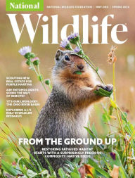 Title: National Wildlife - One Year Subscription, Author: 
