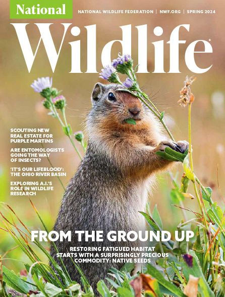 National Wildlife - One Year Subscription