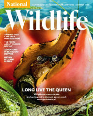 Title: National Wildlife - One Year Subscription, Author: 