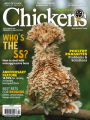 Chickens - One Year Subscription