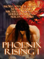 Phoenix Rising I