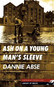 Title: Ash on a Young Man's Sleeve, Author: Dannie Abse