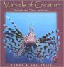 Marvels of Creation: Sensational Sea Creatures