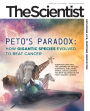 The Scientist