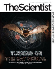 Title: The Scientist, Author: The Scientist