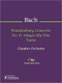 Brandenburg Concerto No. 6: Adagio Ma Non Tanto